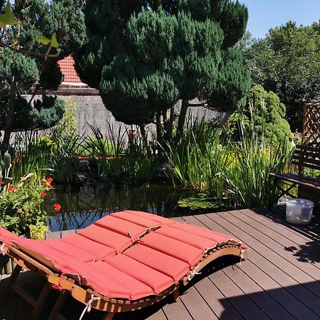 Ferienhaus Mit Mediterraner Terrasse Müllrose 外观 照片